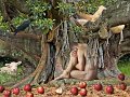 2 - adam's apples - HARDLEY Liz - new zealand